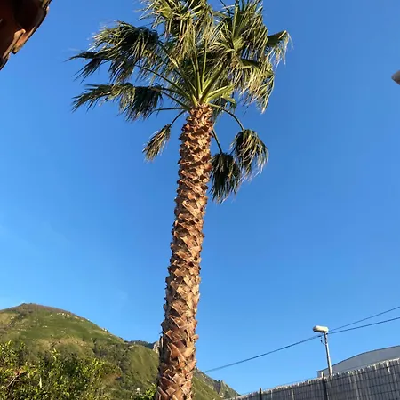 Adelina, La Tua A Ischia! Nyaraló