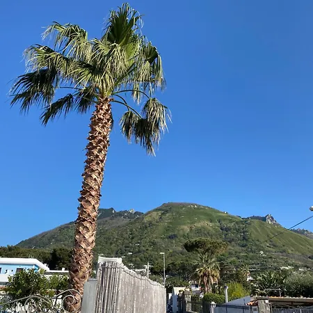 Holiday home Adelina, La Tua A Ischia!